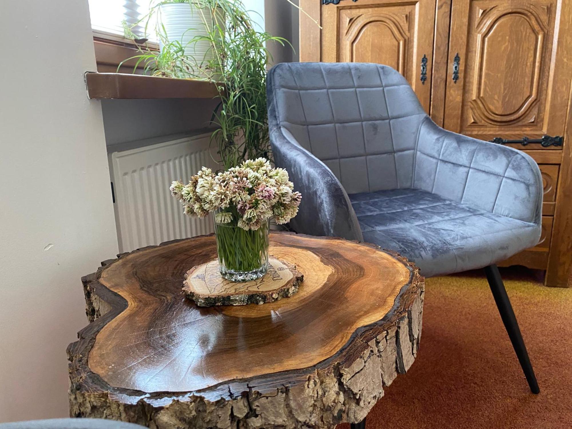 Dzika Róża Apartamento Szklarska Poręba Exterior foto
